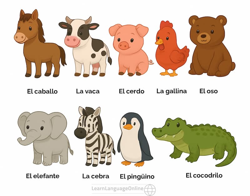Animals in Spanish